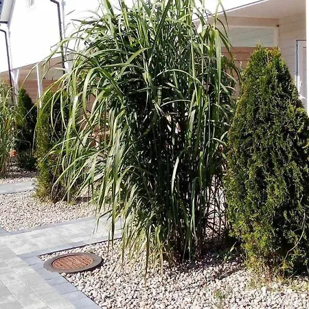 度假居 Scandinavia 罗威