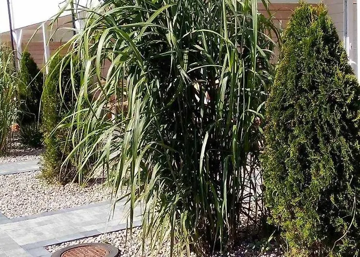 Сasa de vacaciones Scandinavia Rowy (Pomerania)